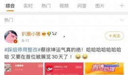 明星资讯号是什么 体育圈不是饭圈,体育圈与饭圈的不同魅力