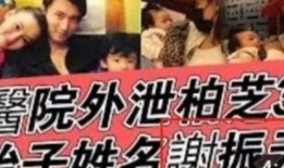 明星黑料都是怎么扒出来的 c朝阳群众 天天吃瓜视频在线看免费观看,朝阳群众与“吃瓜”视频的幕后真相